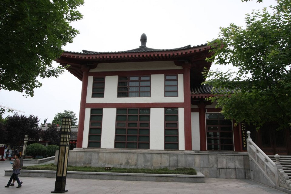 IMG 7877