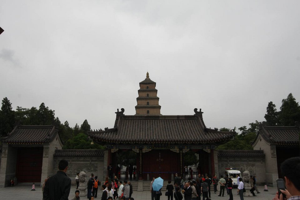 IMG 7887