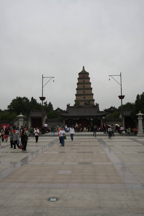 IMG 7890