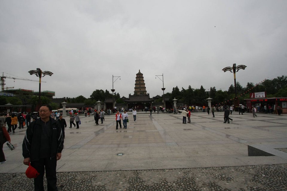 IMG 7891