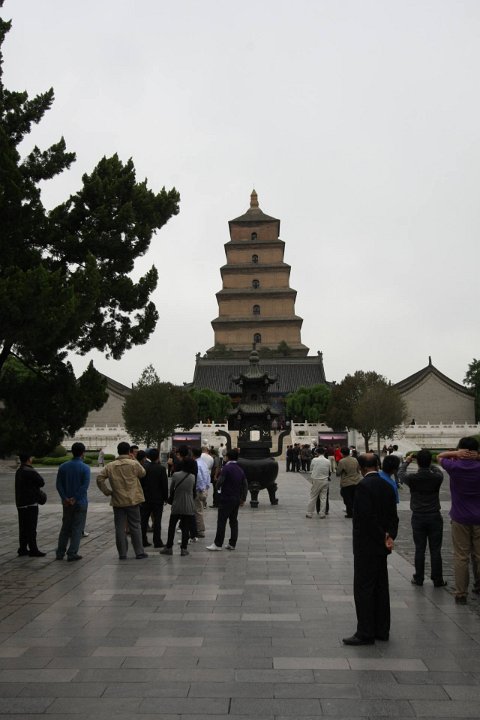 IMG 7892