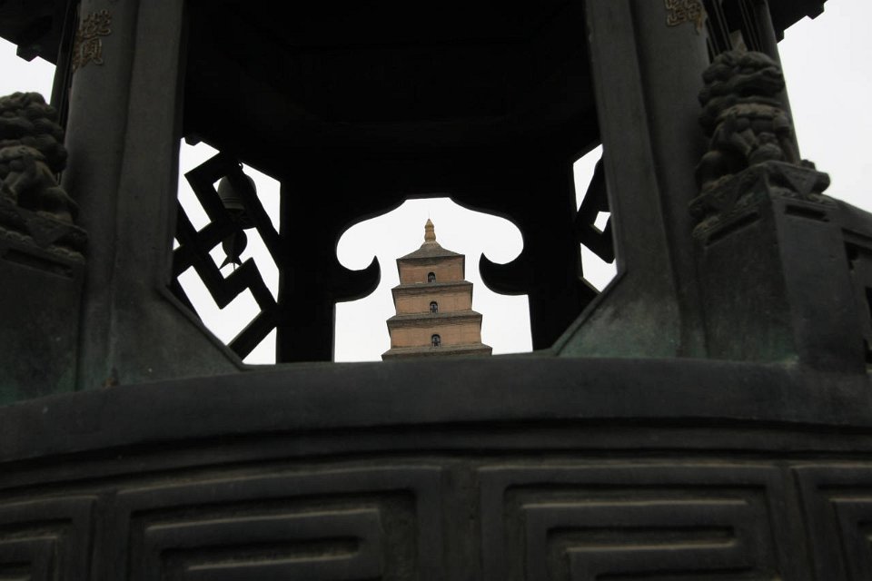 IMG 7895