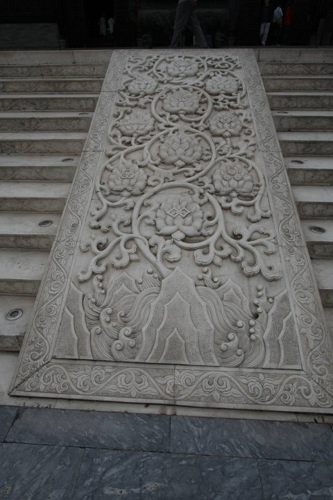 IMG 7901