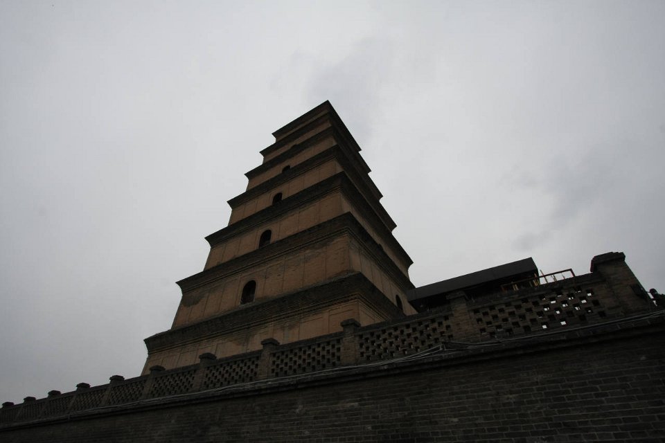 IMG 7918