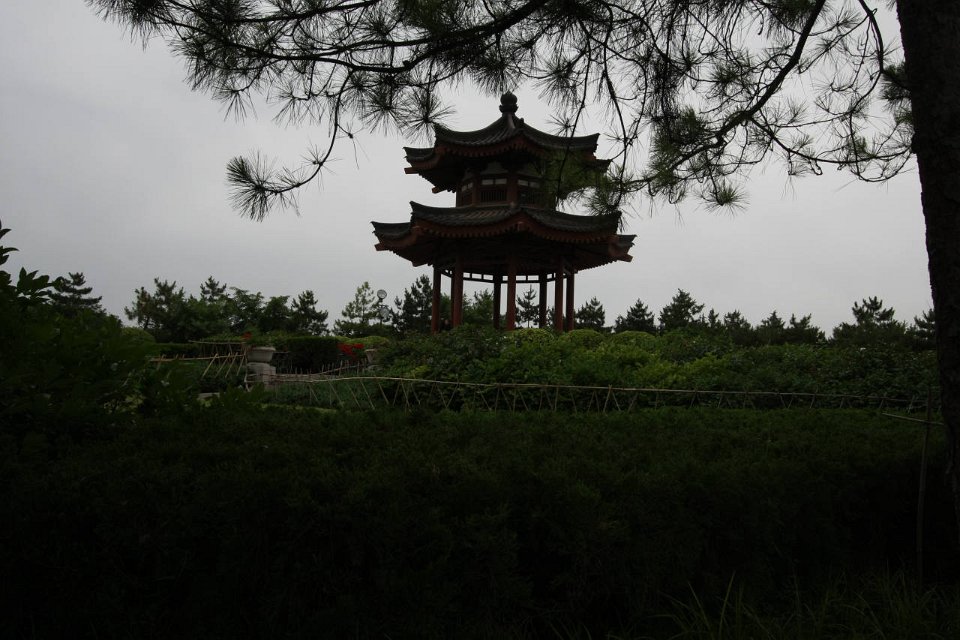 IMG 7921
