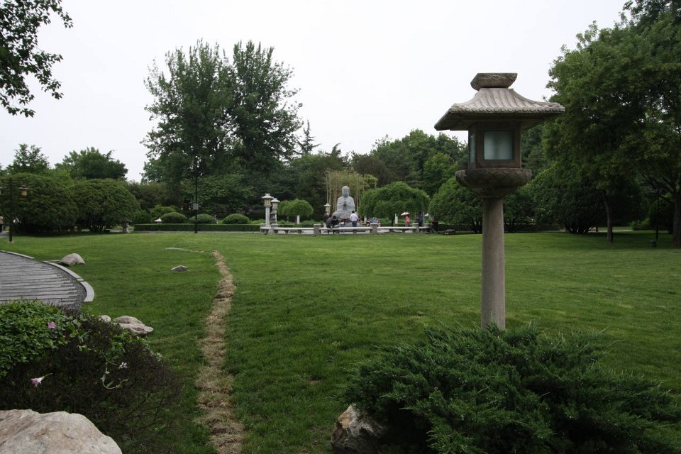 IMG 7982