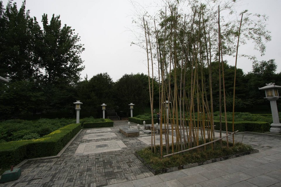 IMG 7984