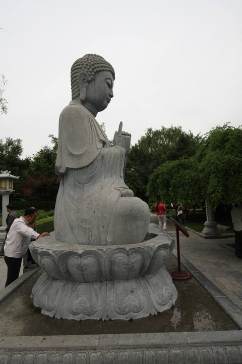 IMG 7985