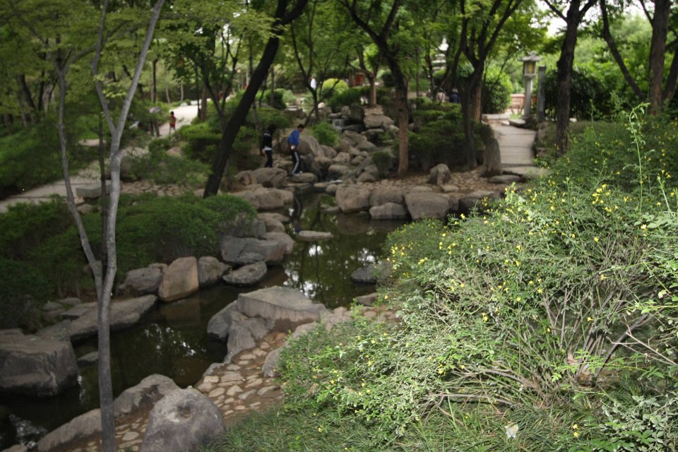 IMG 7991