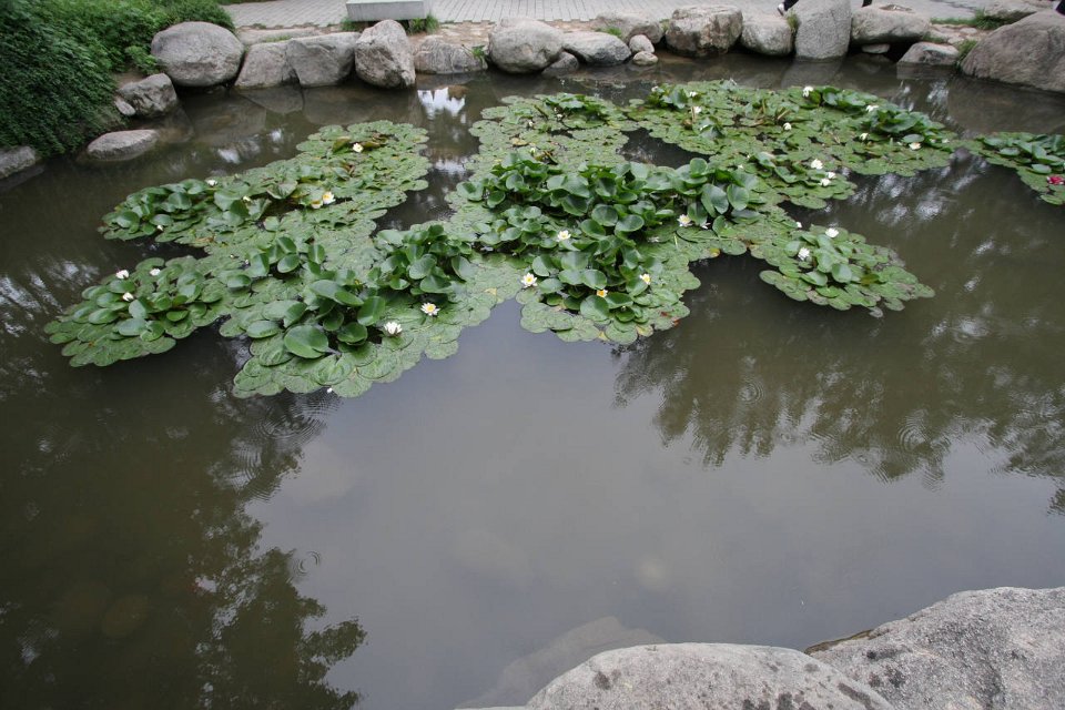 IMG 7993