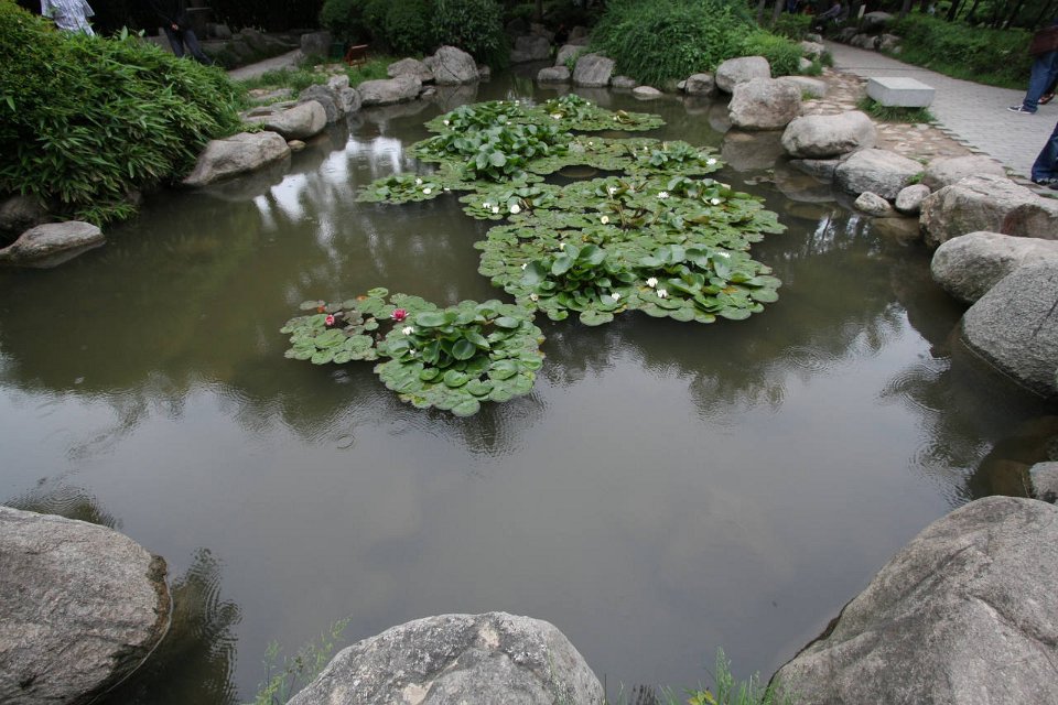 IMG 7995