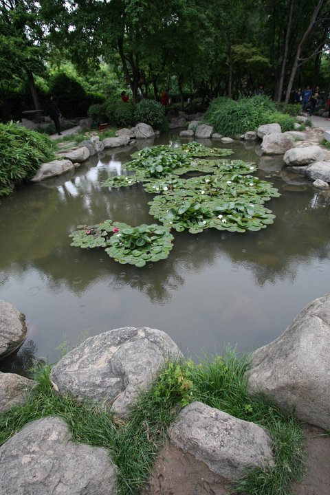 IMG 7996
