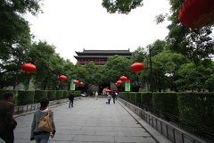 IMG 7823