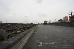 IMG 7848