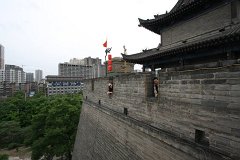IMG 7852