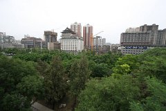 IMG 7854