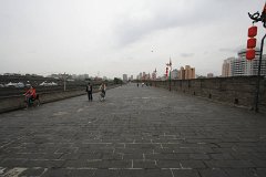 IMG 7862