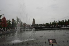 IMG 7873