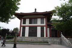 IMG 7877