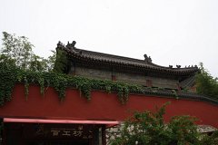 IMG 7884