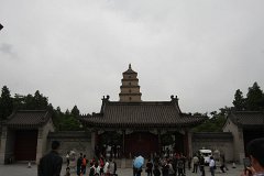 IMG 7887