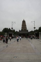 IMG 7890