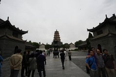 IMG 7893