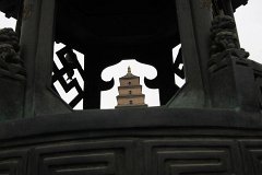IMG 7895