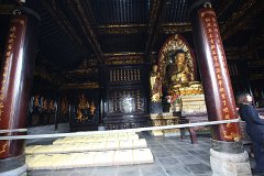 IMG 7906