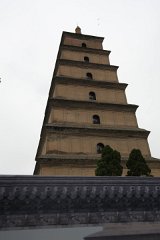 IMG 7907