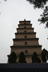 IMG 7908