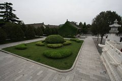IMG 7913