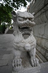 IMG 7916