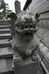 IMG 7917