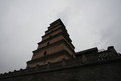 IMG 7918