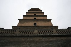 IMG 7919