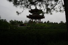 IMG 7921