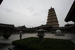 IMG 7932