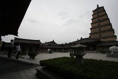 IMG 7933