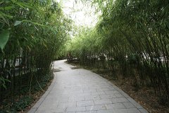 IMG 7936