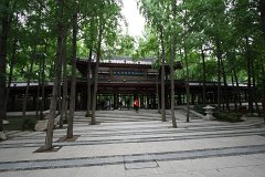 IMG 7966