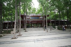 IMG 7967