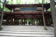 IMG 7968