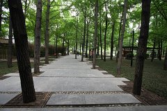 IMG 7970