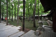 IMG 7971
