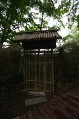 IMG 7972