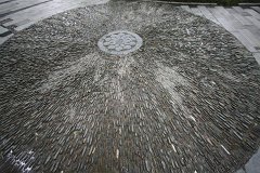 IMG 7974