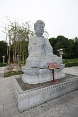 IMG 7983