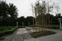 IMG 7984