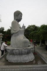 IMG 7985